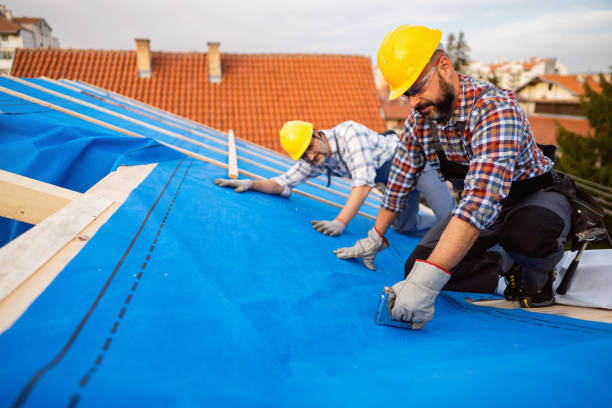 Quick and Trustworthy Emergency Roof Repair Services in Shelbyville, TN